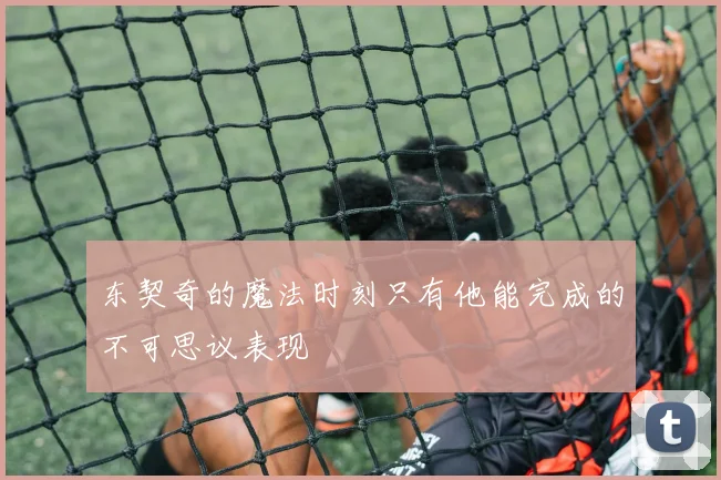 东契奇的魔法时刻只有他能完成的不可思议表现