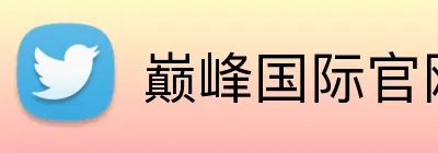 巅峰国际官网 logo